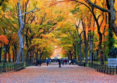 Can you go to Central Park for free?