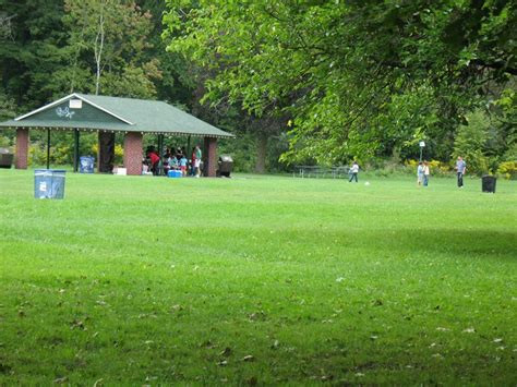 Can you have a picnic at High park?