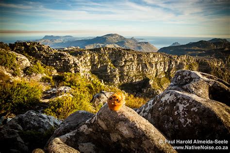 Can you picnic on top of Table Mountain?