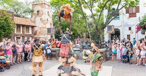 Can You Spend A Whole Day At Animal Kingdom?