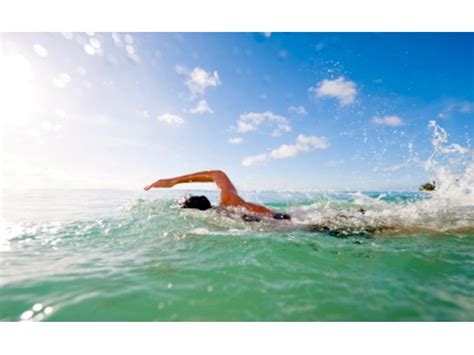 Can You Swim In Ocean Beach Ca?