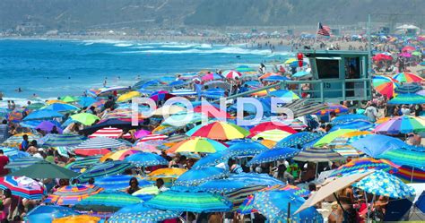 Can you swim in Santa Monica Beach?