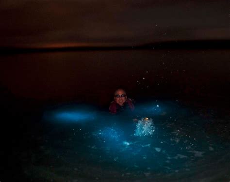 Can you swim in the glowing beach?