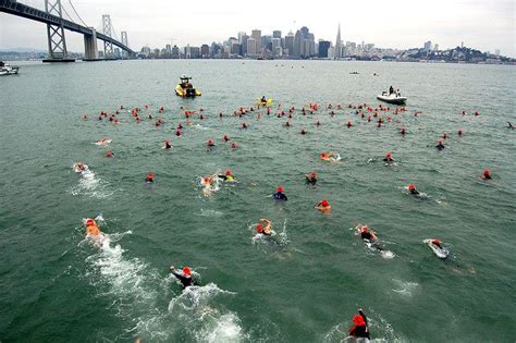 Can You Swim In Treasure Island?