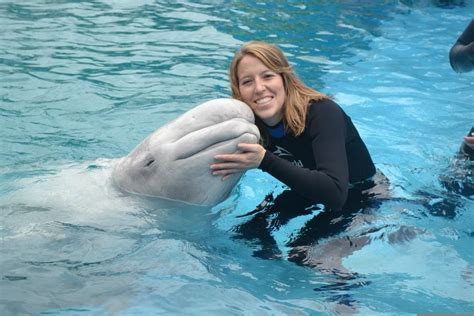 Can you swim with beluga whales?