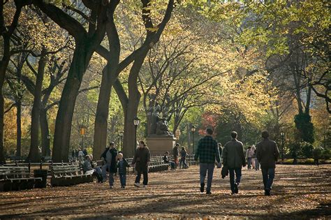 Can you walk all around Central Park?