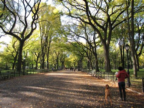 Can you walk all of Central Park?
