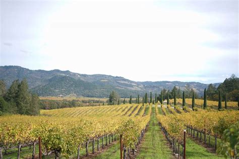 Can You Walk Between Wineries In Napa?