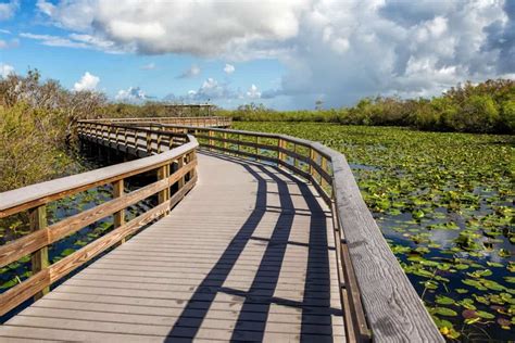 Can you walk in the Everglades?