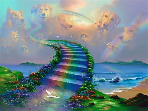 Can You Walk On The Rainbow Bridge Without A Passport?