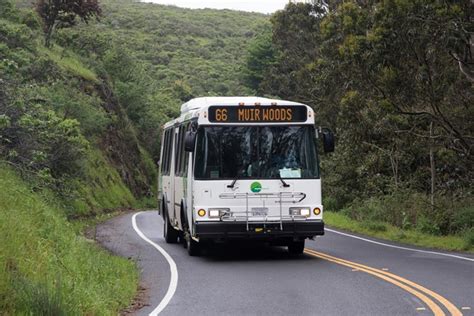 Do You Have To Ride Shuttle In Muir Woods?