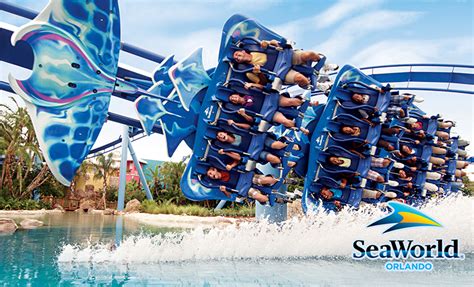 Do you need a full day at SeaWorld Orlando?