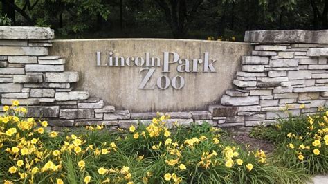 Do you need a reservation to visit the Lincoln Park Zoo in Chicago?