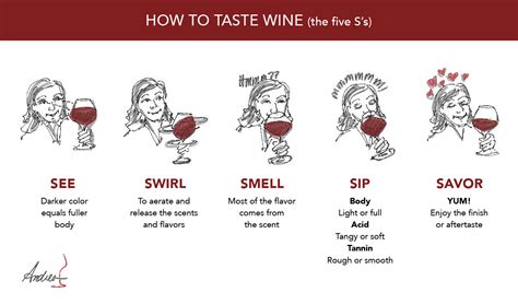 Do You Tip After Wine Tasting?