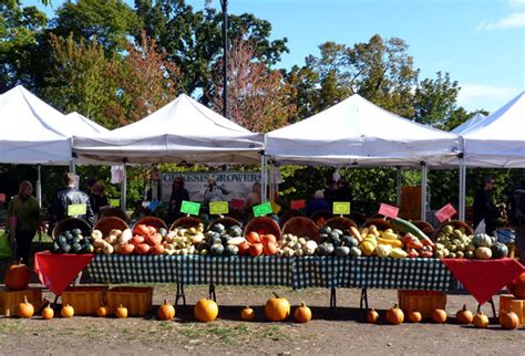 Does Chicago have a public market?