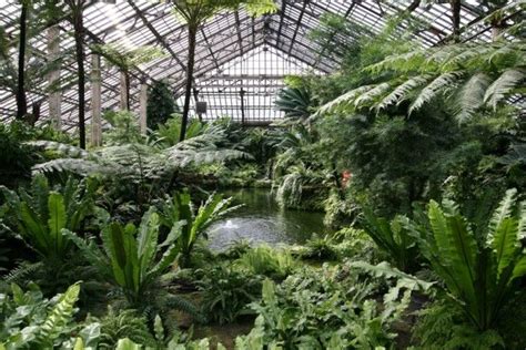 Does Garfield Park Conservatory have a cafe?