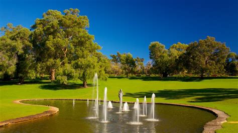 How big is Kings Park and Botanic Garden?