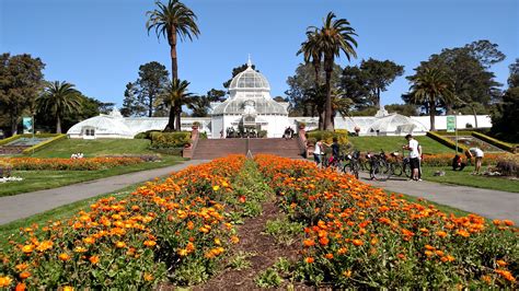 How Big Is Sf Botanical Garden?