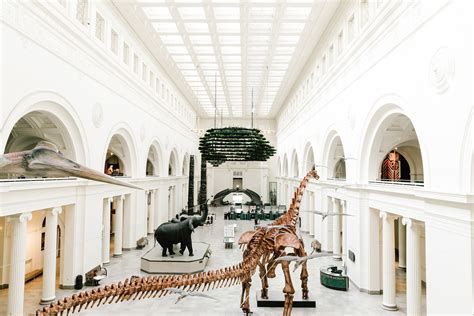 How long do you spend at Field museum?