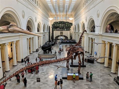 How long does it take to finish Field Museum?