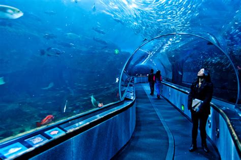 How long does it take to go through San Francisco aquarium?