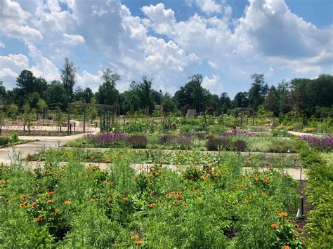 How long does it take to go through the arboretum?