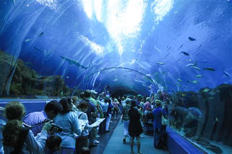 How long does it take to go through the National aquarium on average?