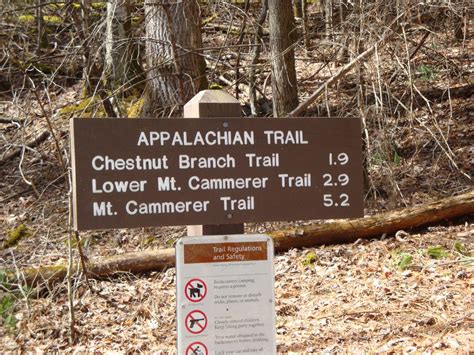 How long is Chestnut Branch trail?