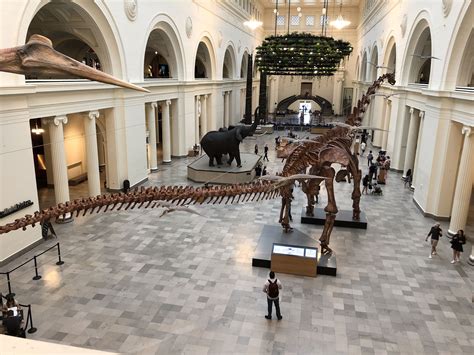 How long should I plan to spend at the Field museum Chicago?