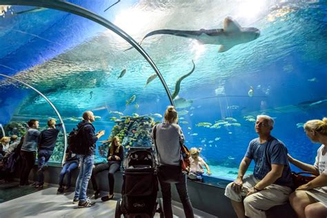 How long should I spend at the National aquarium?