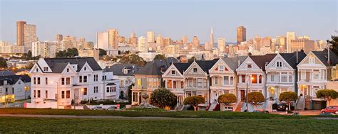 How Many Painted Ladies Are There?