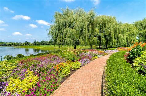 How many plants are in the Chicago Botanic Garden?