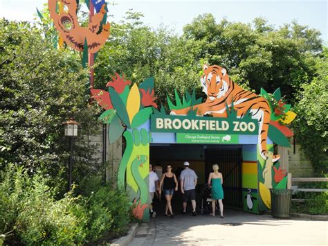 How much does Brookfield Zoo cost?