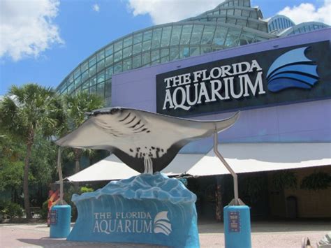 How Much Does It Cost To Get Into The Florida Aquarium?