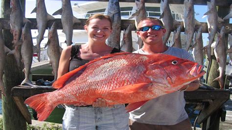 How much does it cost to go deep sea fishing in Orlando Florida?