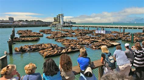 How Much Does It Cost To Go To Fisherman's Wharf?