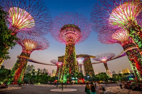 How Much Does It Cost To Go To Gardens By The Bay?