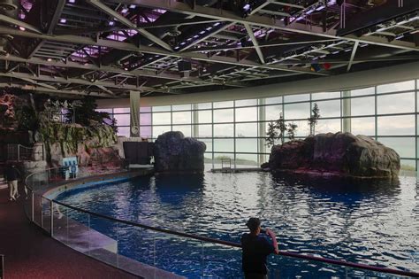 How much time is needed for Shedd Aquarium?