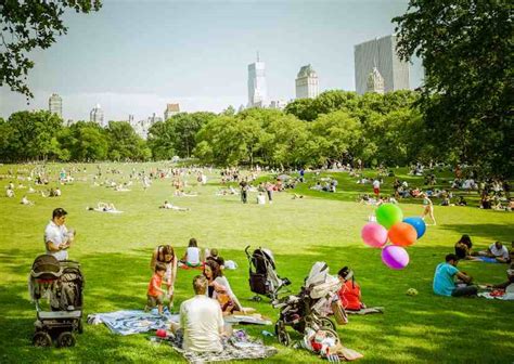 How To Do A Picnic In Central Park?