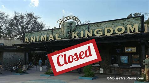 Is Animal Kingdom closing in 2024?