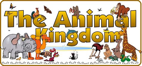 Is Animal Kingdom For Kids?