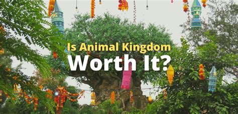 Is Animal Kingdom worth it?