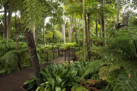 Is botanical garden live or dead?