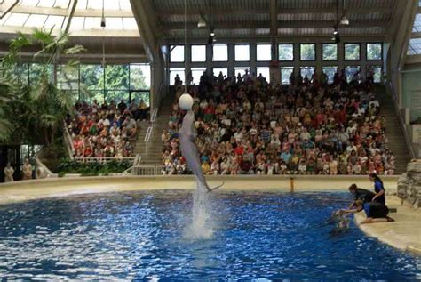 Is Brookfield Zoo one of the biggest zoos?