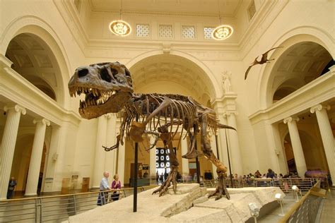 Is Field Museum busy on free days?