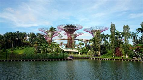 Is Gardens by the Bay dog-friendly?