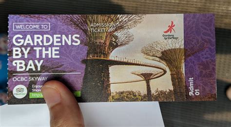 Is It Cheaper To Buy Gardens By The Bay Tickets Online?