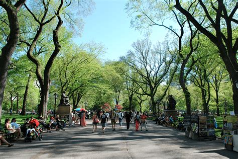 Is it free to walk around Central Park?