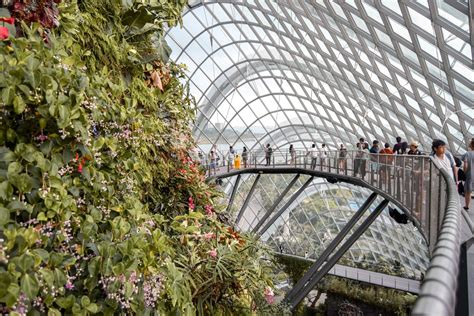 Is It Free To Walk Around Gardens By The Bay?