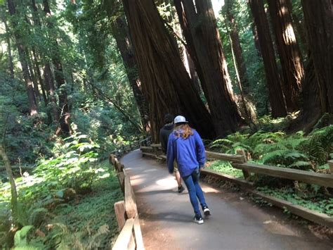 Is Muir Woods Easy To Walk?